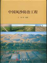 中國風(fēng)沙防治工程