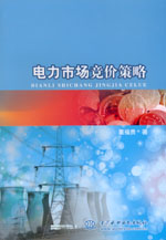 電力市場(chǎng)競(jìng)價(jià)策略