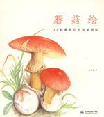 蘑菇繪