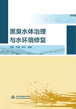 黑臭水體治理和水環境修復