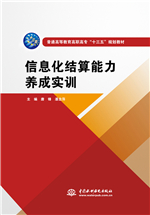 信息化結算能力養成實訓（普通高等教育