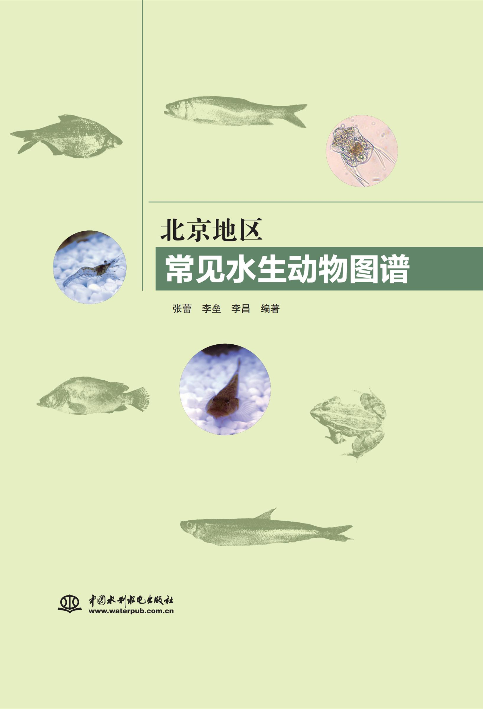 北京地區(qū)常見水生動(dòng)物圖譜
