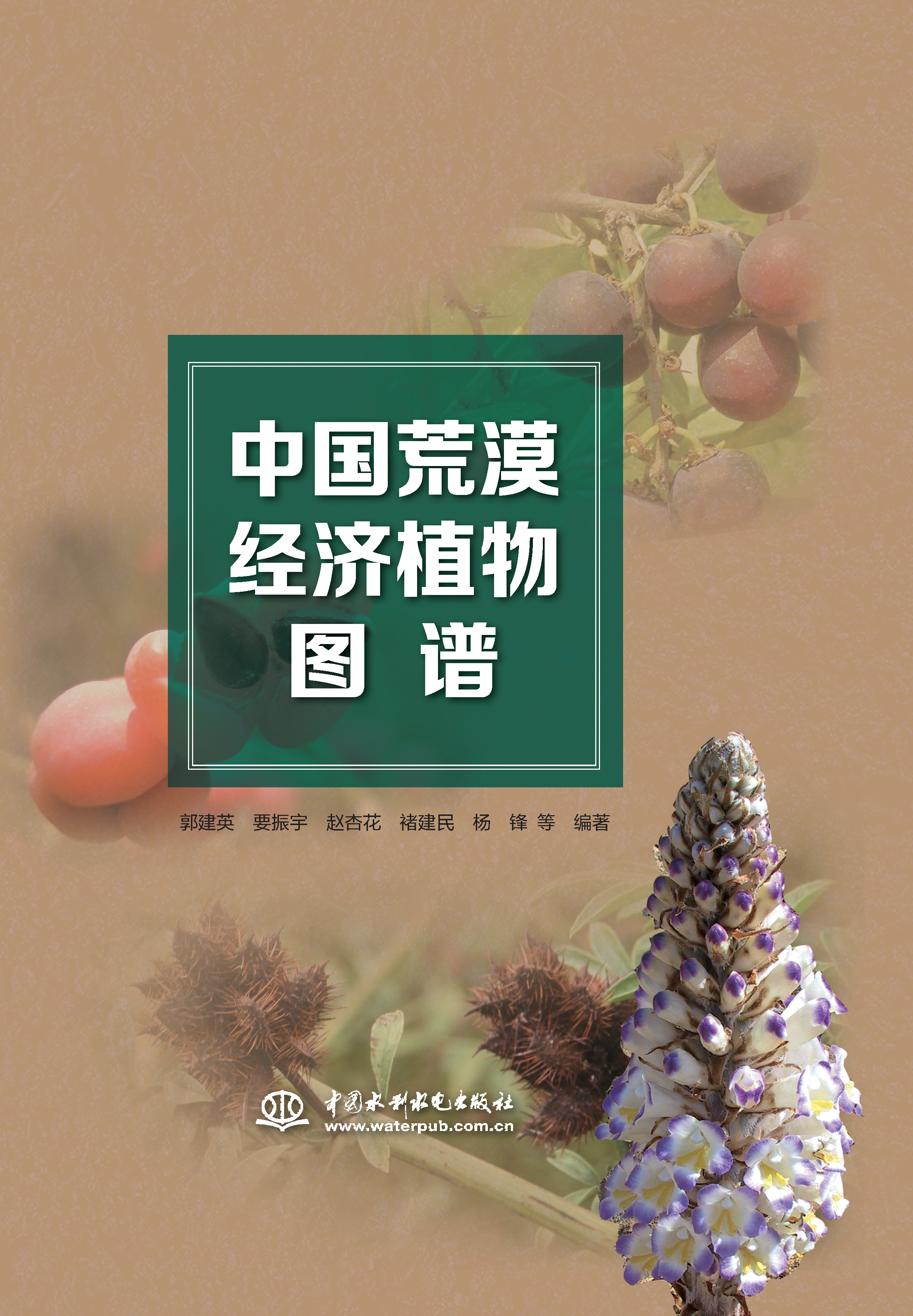 中國荒漠經濟植物圖譜