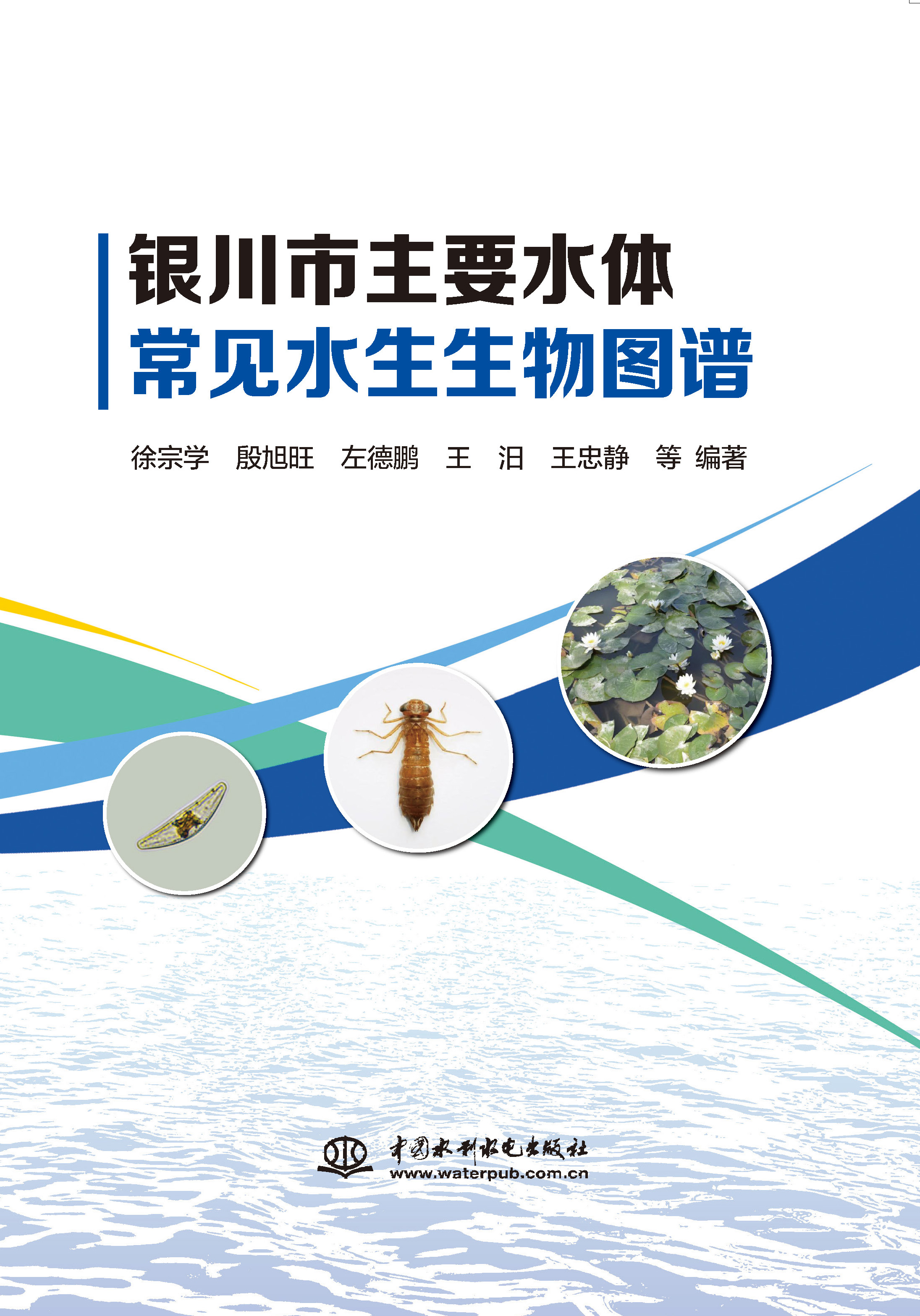 銀川市主要水體常見水生生物圖譜