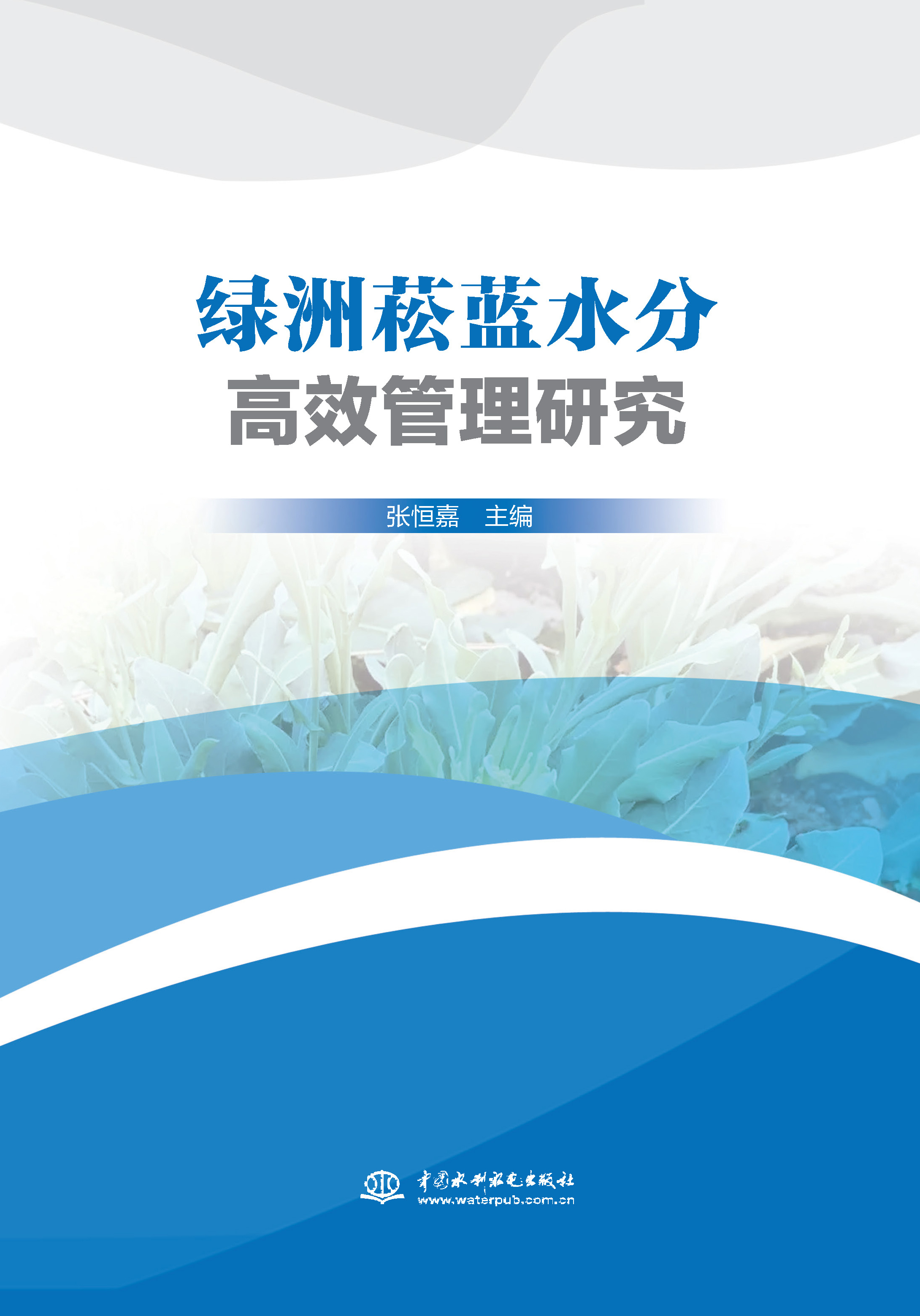 綠洲菘藍水分高效管理研究